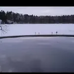 Ympärivuotinen,