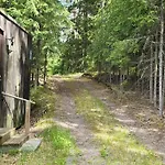 Ympärivuotinen, *
