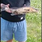 Ympärivuotinen, Loma-asunnot *