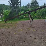 Ympärivuotinen,