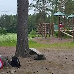 Ympärivuotinen, * Tammela