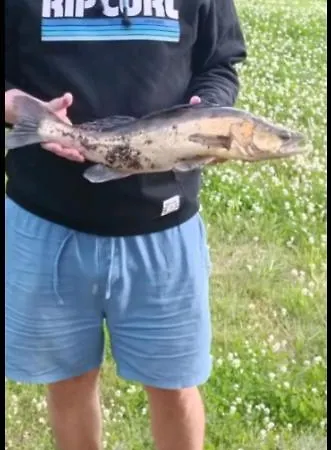 Moekki Ympaerivuotinen, بيت للعطل *