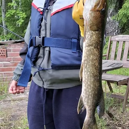 Hébergement de vacances Moekki Ympaerivuotinen, *