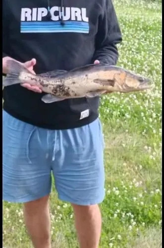 Moekki Ympaerivuotinen, 度假居 *