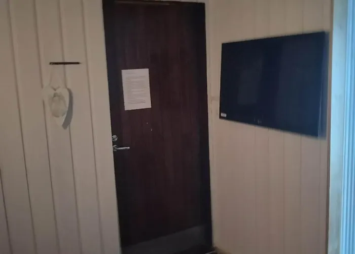 Moekki Ympaerivuotinen, *