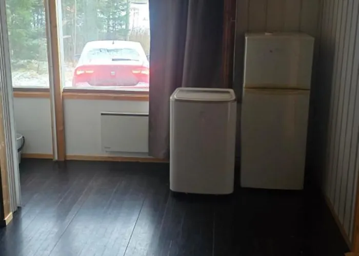 Moekki Ympaerivuotinen, *